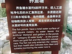 -成都市活水公园