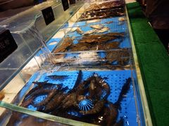 -加餐海鲜自助(集美银泰百货店)