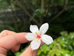 -福道