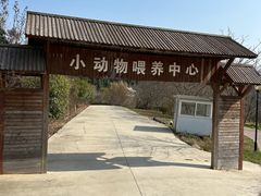 -绵阳盛世樱花悠乐谷