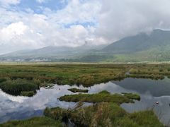 -腾冲北海湿地