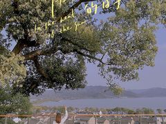 -东钱湖旅游度假区