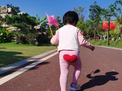 -九龙湖公园