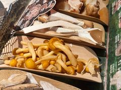 当季野生菌四拼-芸山季·云南山珍菌火锅(人民广场来福士店)