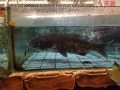 -力力渔港涉外店