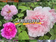 -太阳宫公园