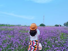 -君乐宝优致牧场