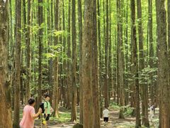 -山王坪喀斯特国家生态公园