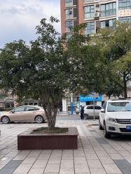 -WENDY·温迪皮肤管理