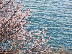 -丽江泸沽湖景区