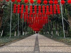 -广西壮族自治区药用植物园