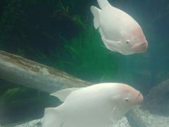 -常州海昌海洋探索馆