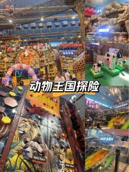 -卡通尼·Safari非洲探索乐园·生日会(金桥国际商业广场店)