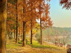 -食膳公园包子铺(烈士公园店)