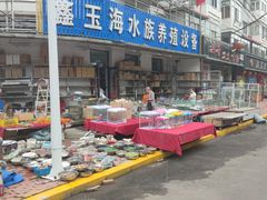 -哈尔滨道外花鸟鱼市场