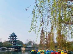 -桂湖森林公园
