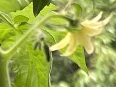 -宜昌富力皇冠假日酒店·咖啡1号西餐厅