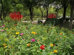 -河北省园博园