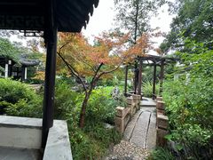 -巡塘古镇