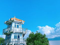 -深圳湾公园(南山区)