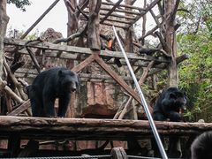 -长鹿旅游休博园