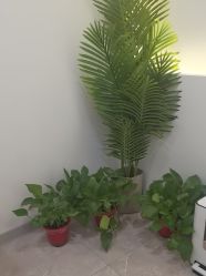 -VE专注问题肌·赛诺龙&科学美肤中心