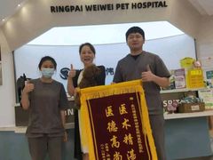 -伟伟宠物医院·瑞派猫友好医院·猫科(光谷店)