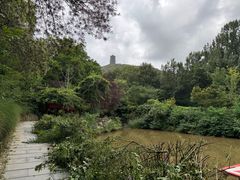 -大伊山景区