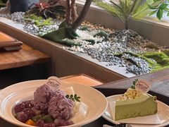 -星多哈·狗咖·拼豆·咖啡