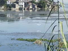 -东钱湖旅游度假区