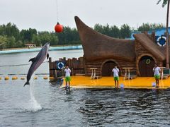 -秦皇岛乐岛海洋王国