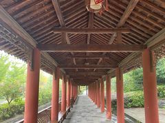 -冶父山国家森林公园