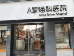 -御宝贝·A梦猫科宠物医院(国际猫友好医院)