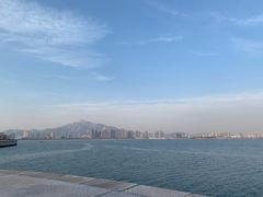 -星光岛