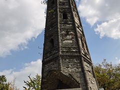 -上海佘山国家森林公园天马山园