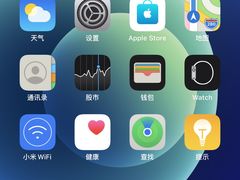 -Apple零售店(成都太古里店)