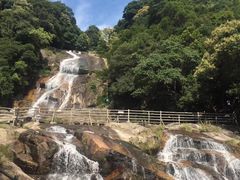 -梁野山景区