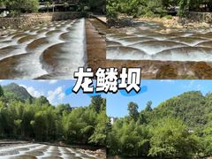 -阿露佳·舌尖上的安吉菜