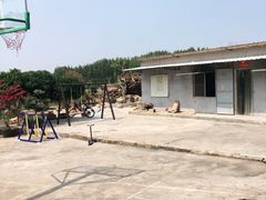 -陈岱后山窑鸡店