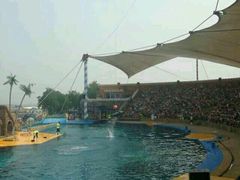 -北戴河圣蓝海洋公园