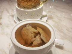 南北杏炖猪展-陶陶居·雅园(凯华国际店)