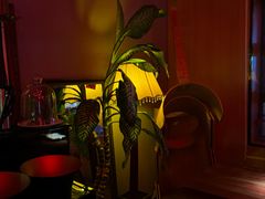 -鸡尾酒实验室酒吧(隆礼路店)