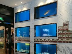 -阳光码头海鲜火锅(世纪大道店)