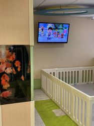 点击看大图 -杭州贝瑞斯美华妇儿医院·早孕·产检·儿科