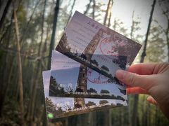 -上海佘山国家森林公园天马山园