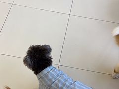-怪兽屋·羊驼·猫咖·狗咖(俊华广场店)