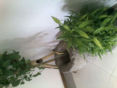 android_upload_pic-随喜赞素食餐厅(亦庄店)