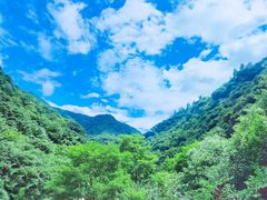 -秦岭风景区