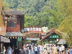 -野象谷景区