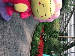 -南宫五洲植物乐园